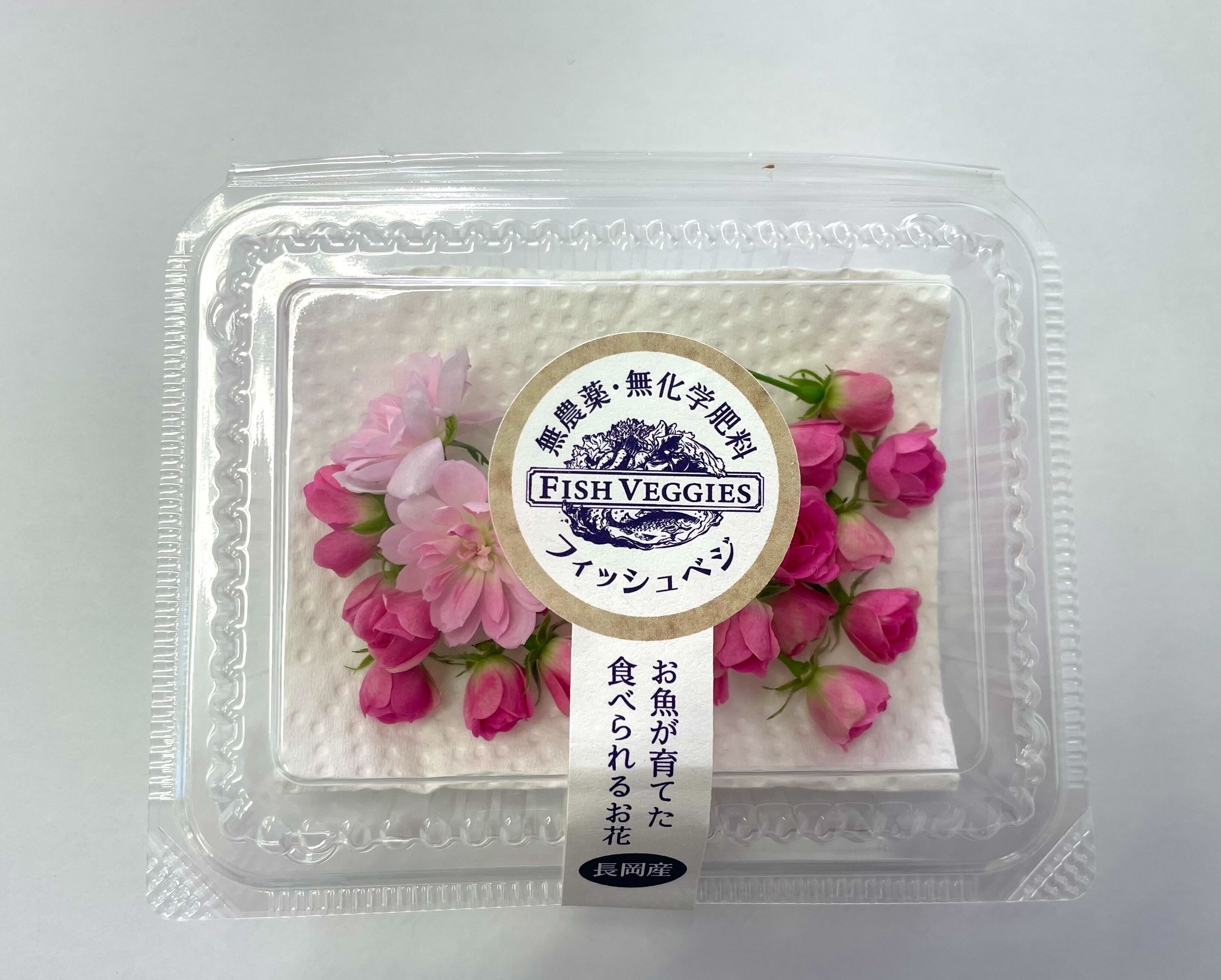 アクアポニックスで栽培されたエディブルローズ