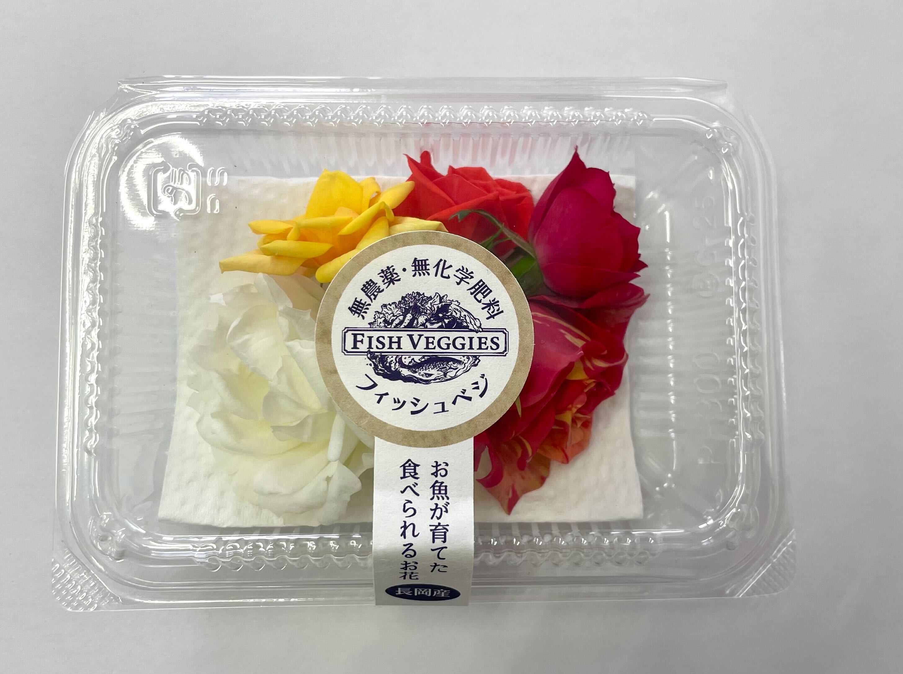 アクアポニックスで栽培されたエディブルローズ