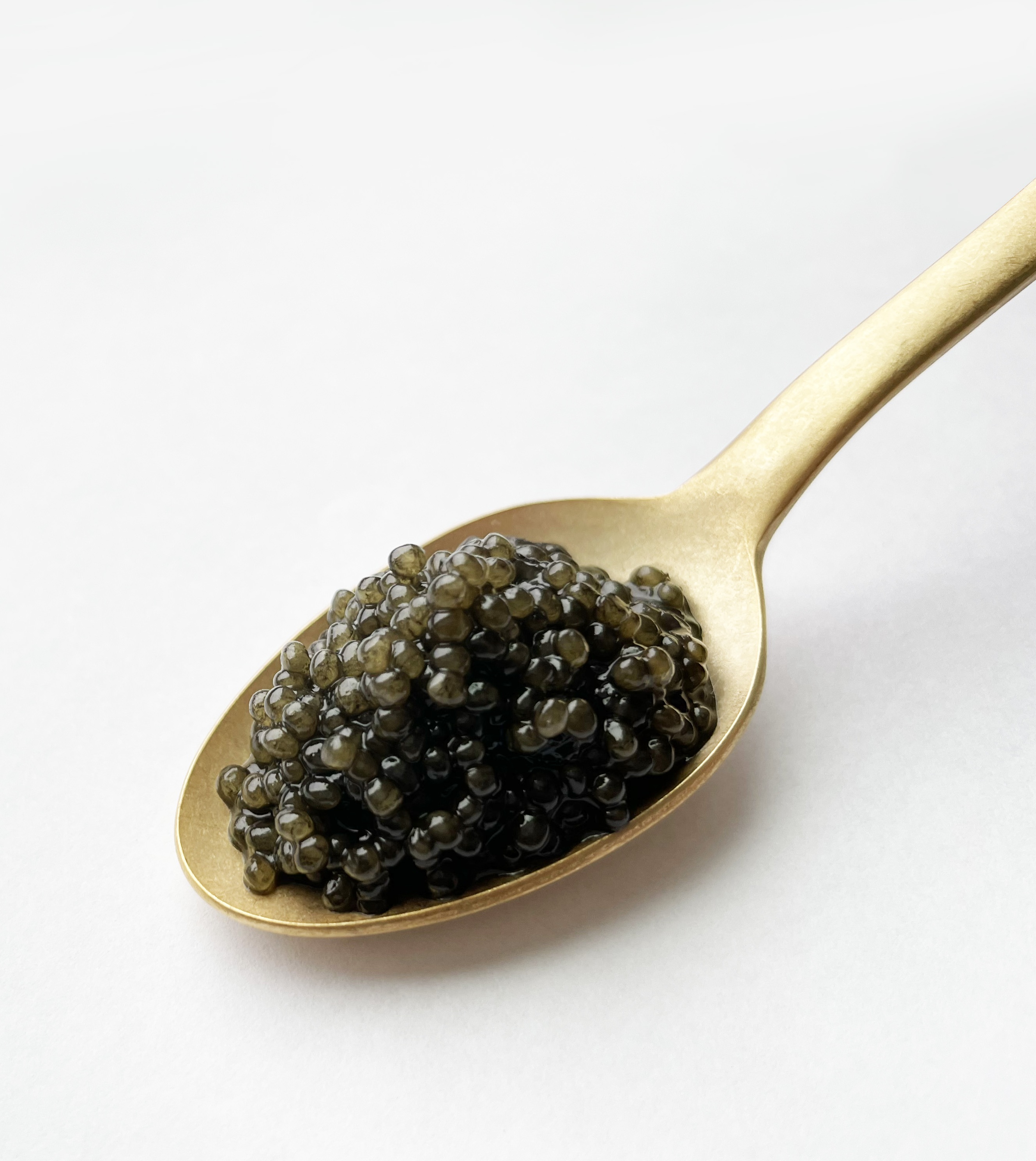 チョウザメのキャビア