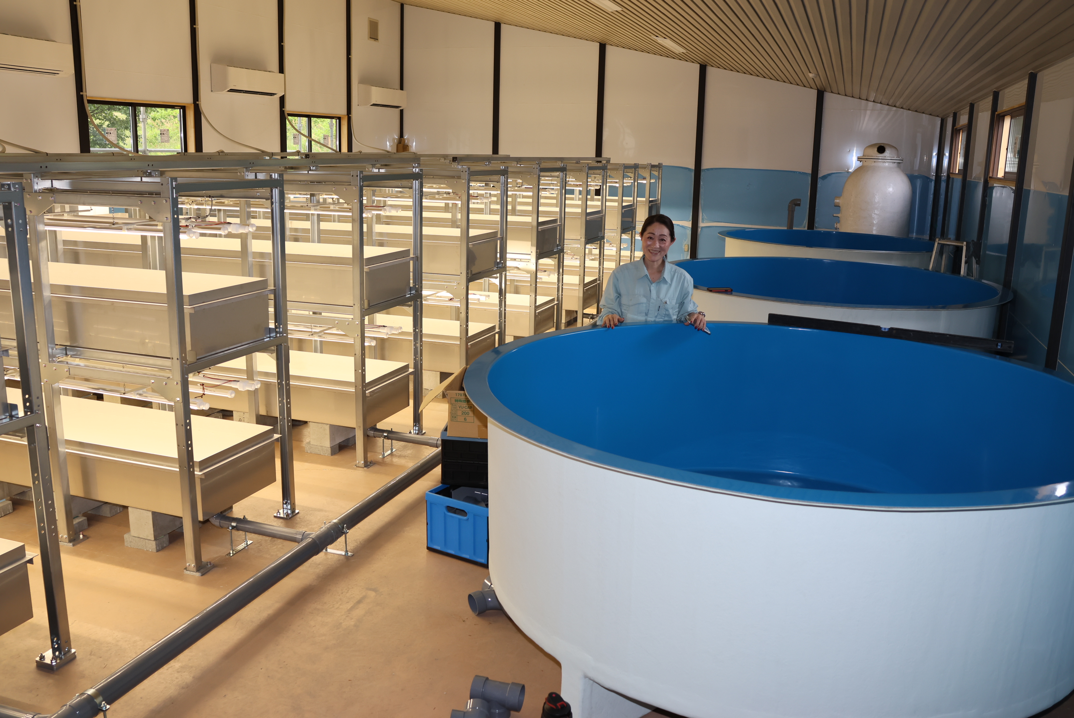 アクアポニックス循環水槽システムアクアポニックス植物工場設備